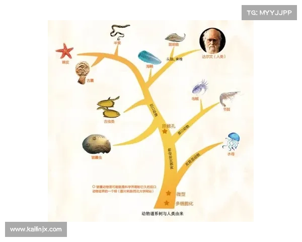 揭开古代生物的神秘面纱探索生命起源与演化的奇幻旅程 揭开古代生物的神秘面纱探索生命起源与演化的奇幻旅程